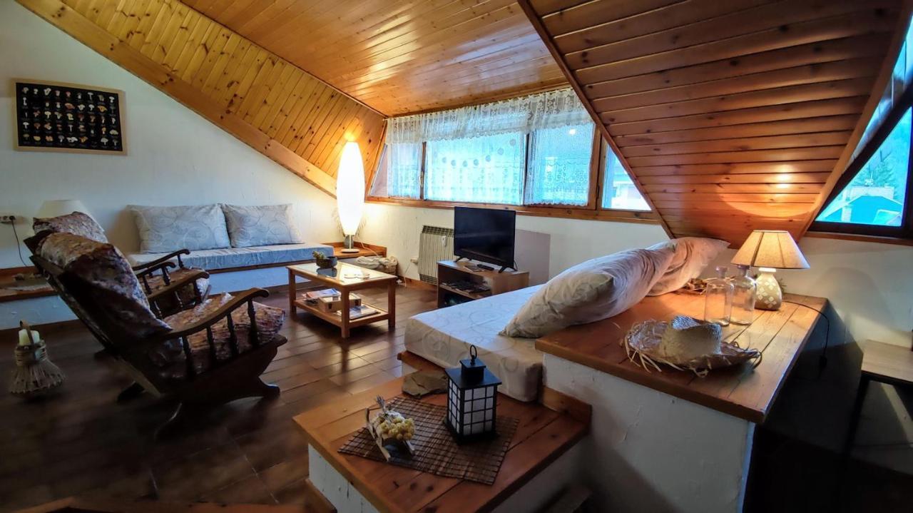 Muy Centrico Con Vistas - El Niuet De Apartment *